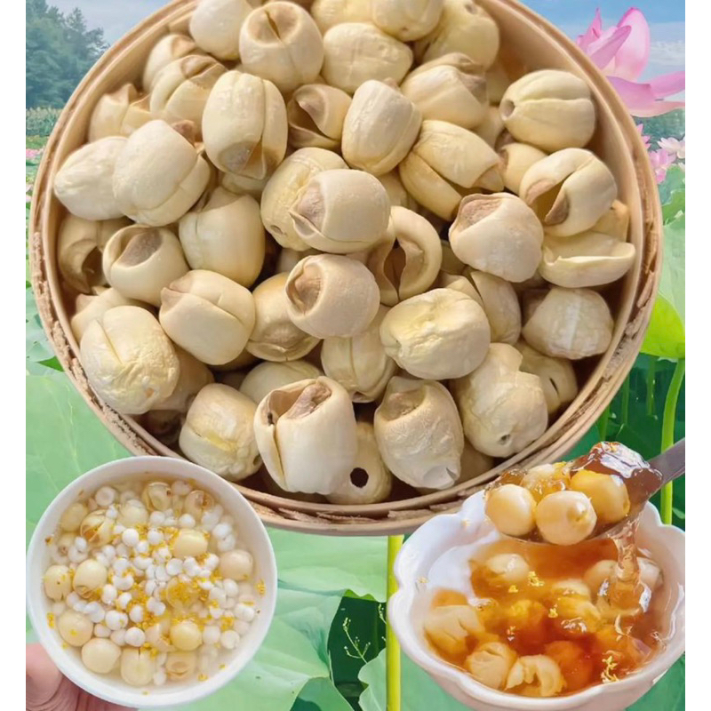 

QH biji teratai/ biji lotus lianzi alami tanpabahan pengawet