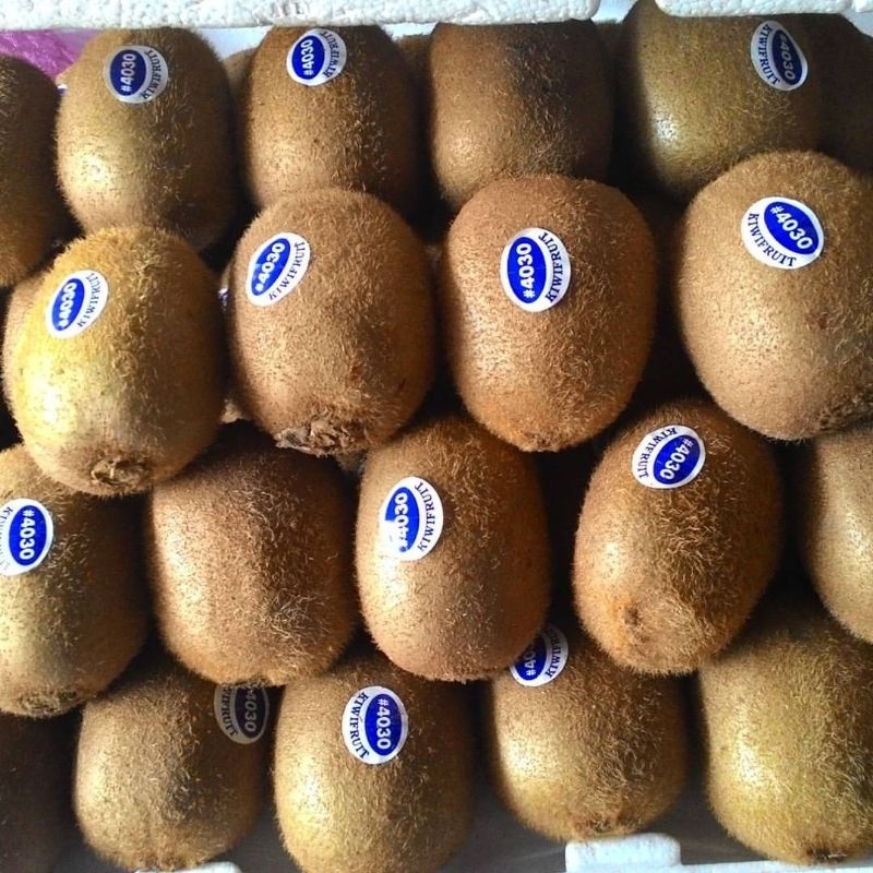 

Kiwi Hijau Fresh