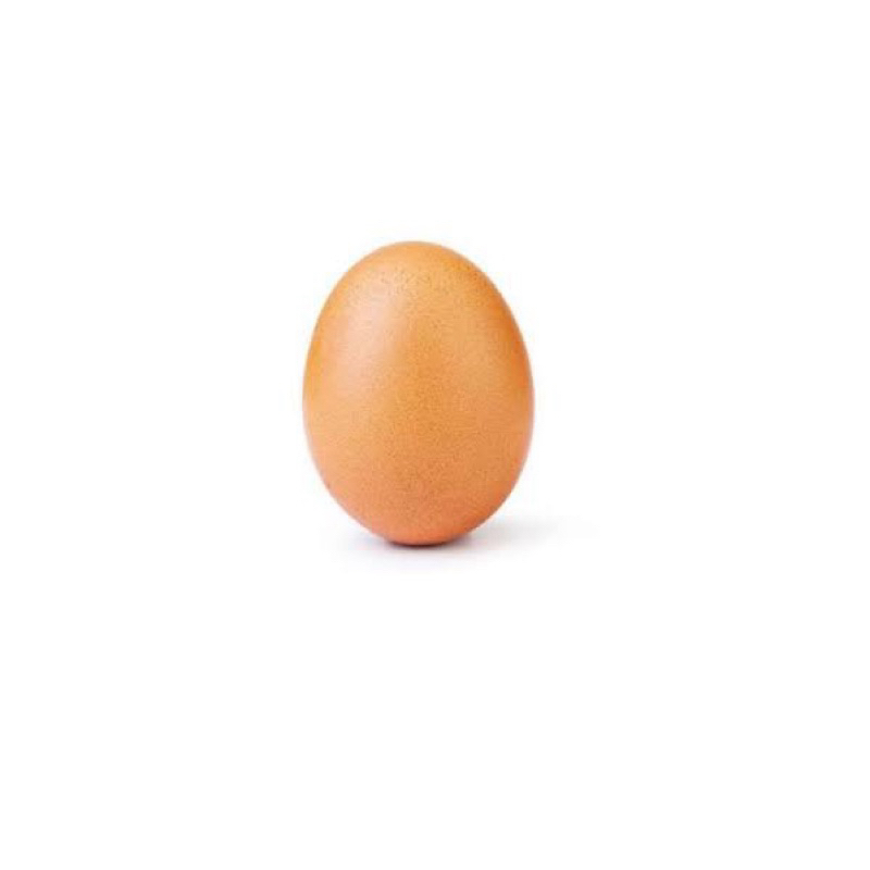 

telur / telor ayam 1 butir
