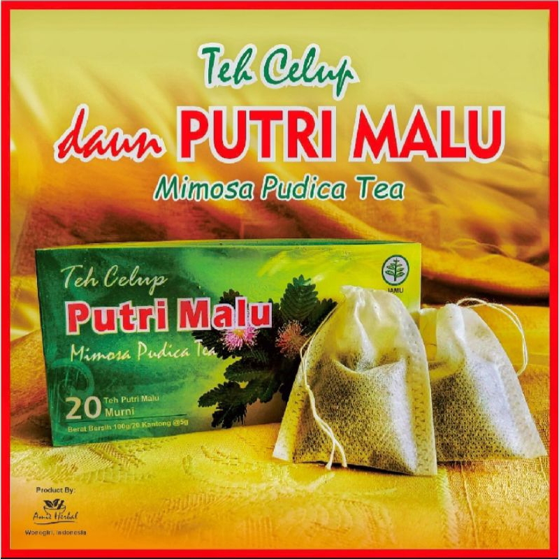 

Teh Celup daun putri malu/Daun putri malu/herbal daun putri malu/mimosa pudica. 1 box isi 20 kantong celup