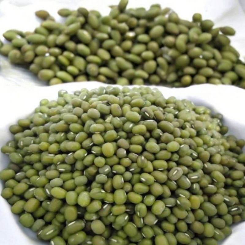 

Kacang Hijau Ijo 1kg