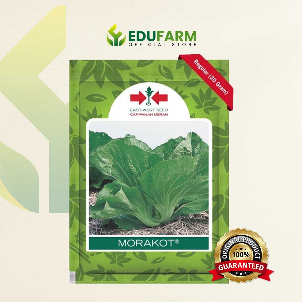 Cap Panah Merah - [20 GR]  Benih Sawi Pahit Morakot