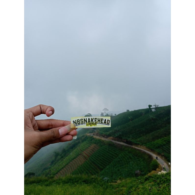 

PROMO Sticker Andrao 4-6cm