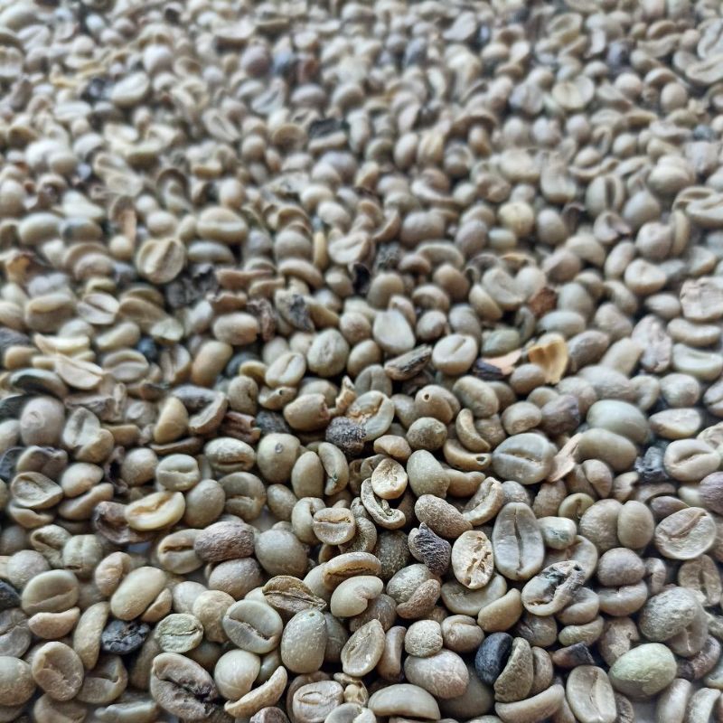 

Green Bean Arabica Full Wash grade 2 unsorted