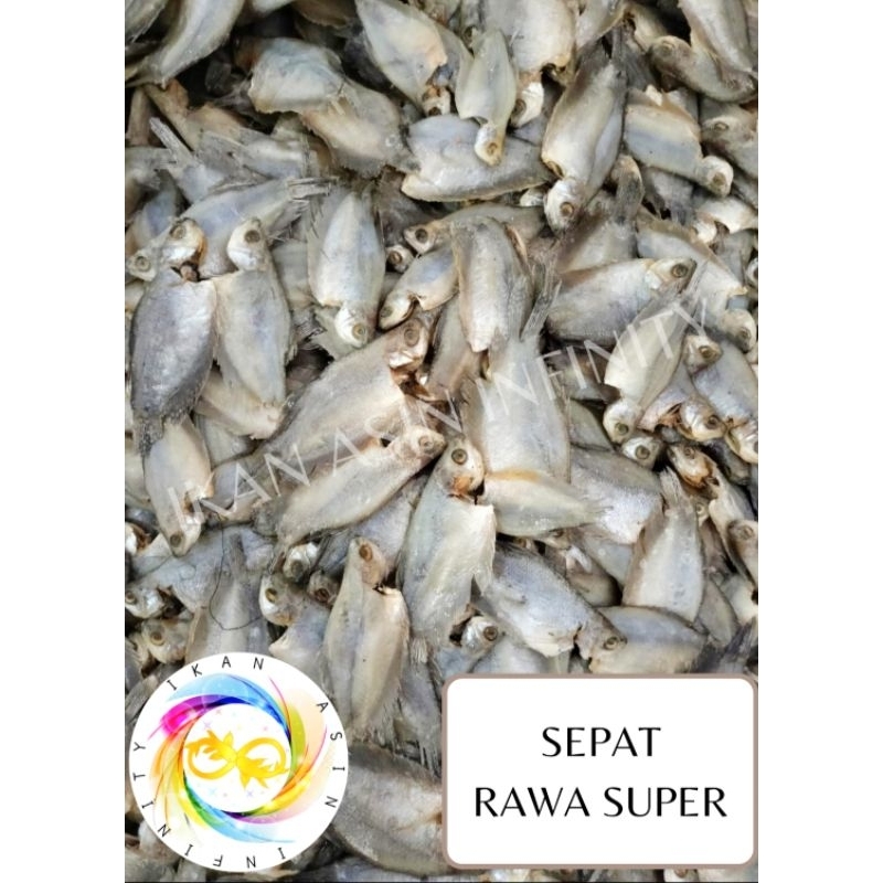 

Ikan Asin Sepat Rawa Super (500 gram)