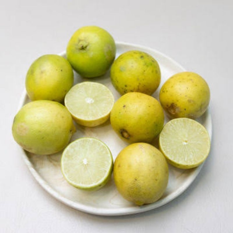 

Jeruk Lemon 500 gr