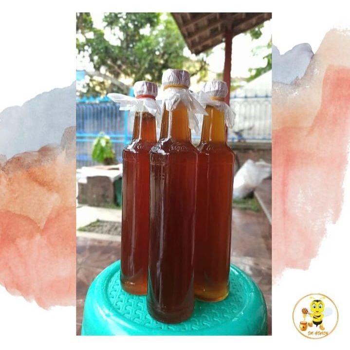 

Echo Madu - Madu Asli Alam Hutan Blora Original - 500ml