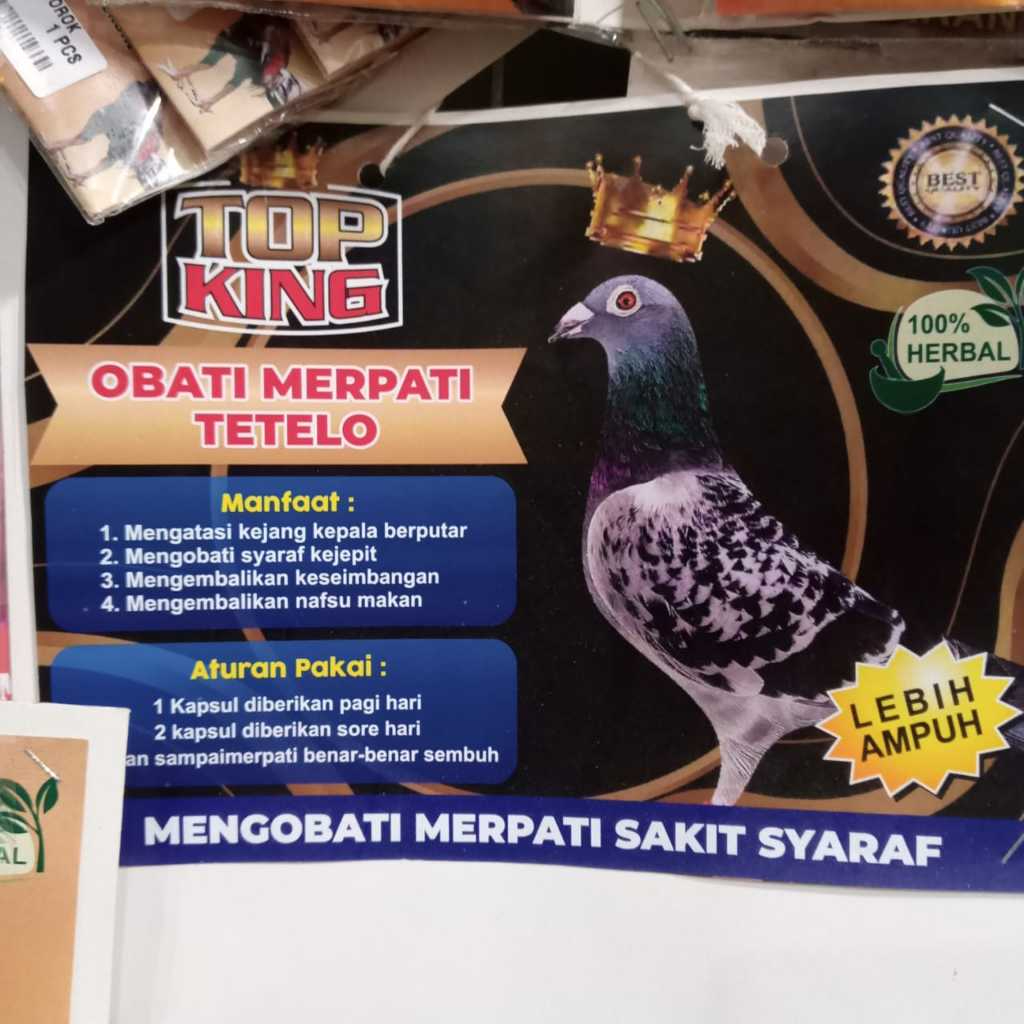 TOP KING MERPATI MENGATASI TETELO PADA BURUNG MERPATI JAMU BURUNG MENGOBATI SYARAF SARAF MERPATI