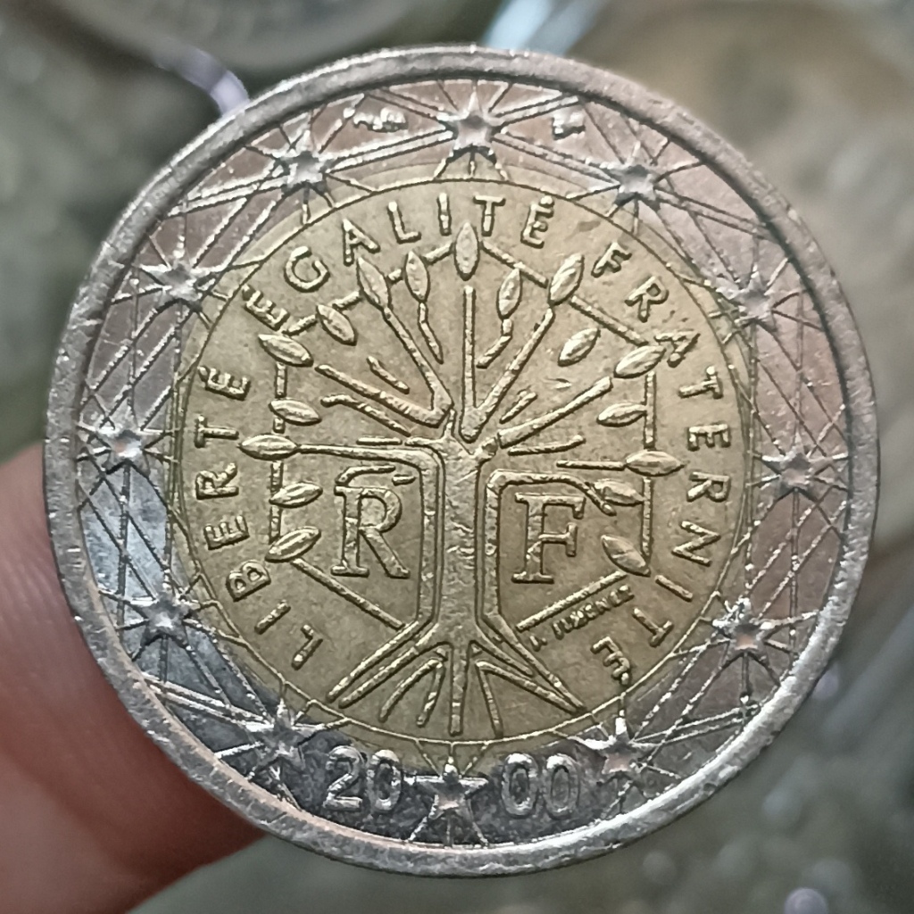 Koin Kuno Bimetal France 2 Euro