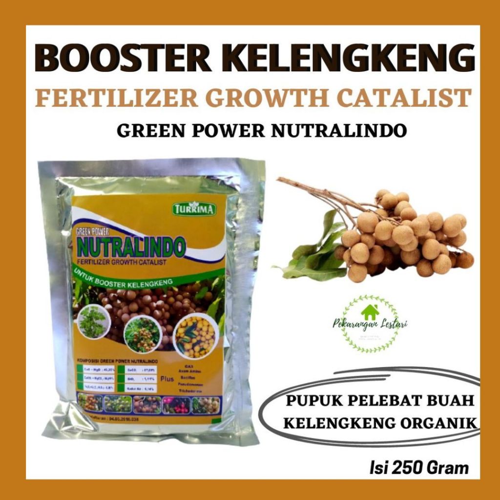 Pupuk Booster Kelengkeng Cepat Besar, Pupuk Plus GA3 Sebagai Zat Pengatur Tumbuh,  Pupuk Anti Jamur 