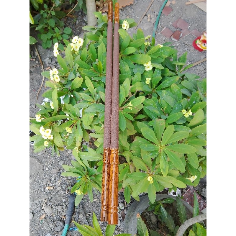 TANGKRINGAN MURAI KAYU KELAPA SUPER PREMIUM CLASS AMPLAS PASIR HALUS SANGKAR MURAI BULAT ( 1pcs )