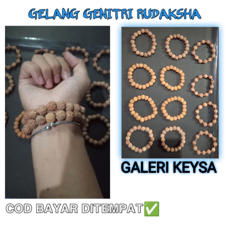 gelang biji Jenitri rudraksha biji buah Jenitri asli original