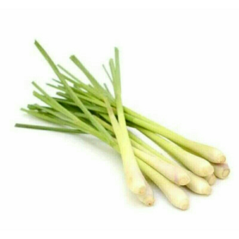 serai segar/serai wangi/ serai 1kg/sereh