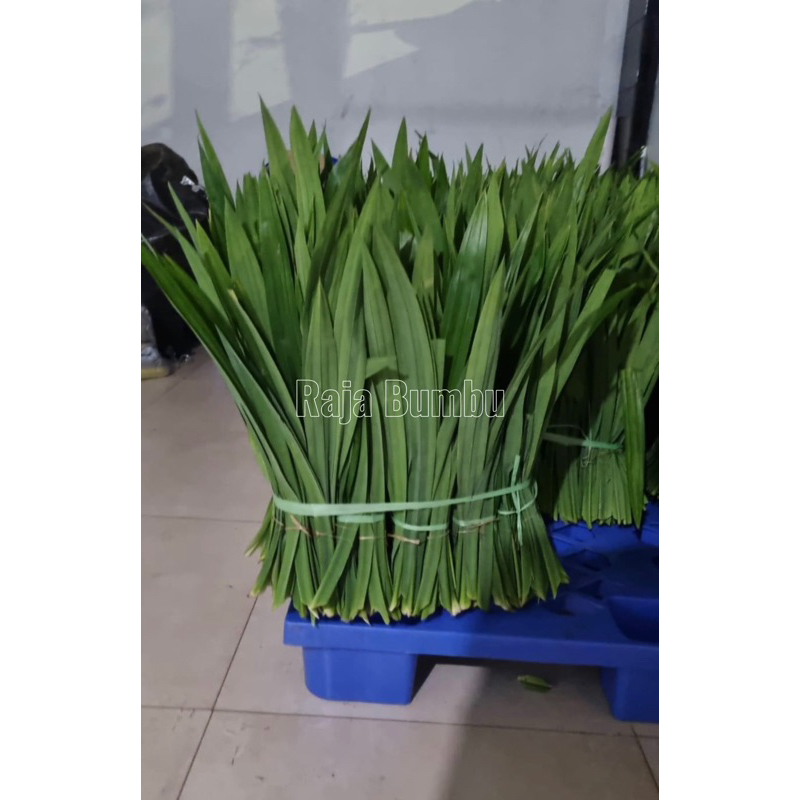 

daun pandan 1 ikat besar