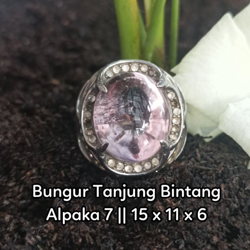 Bungur Tanjung Bintang.