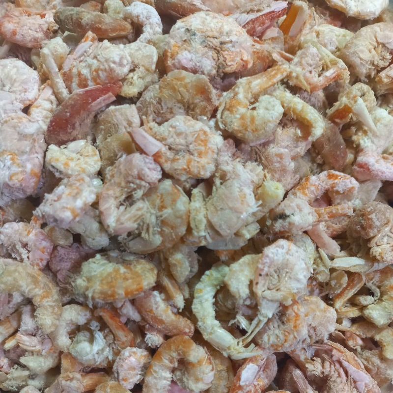 

Ikan ebi