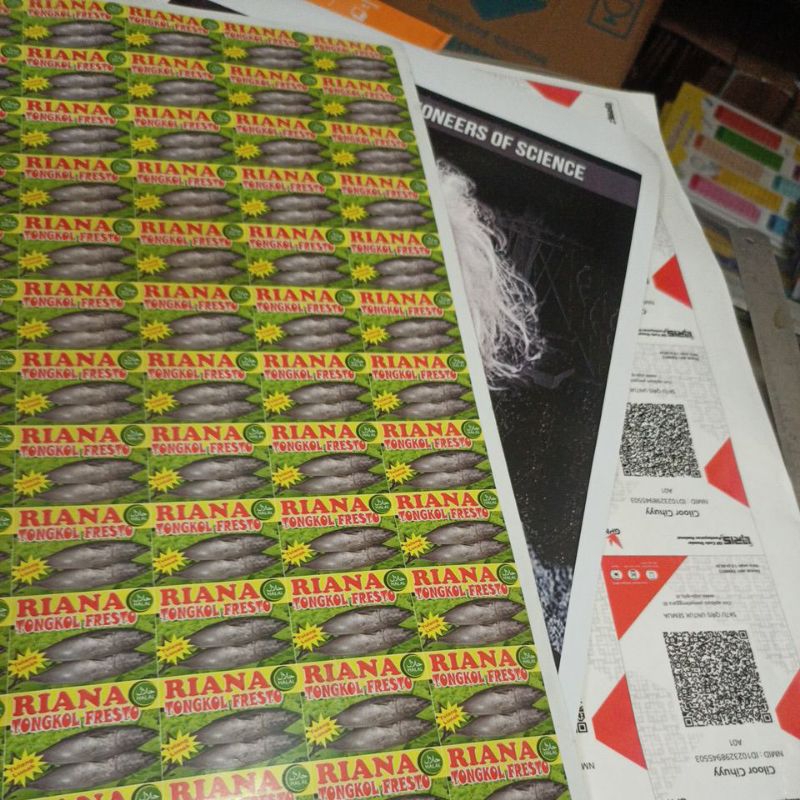 

postera3 plus