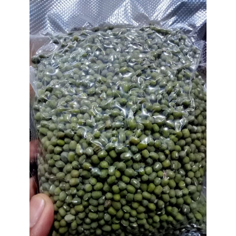 

kacang hijau