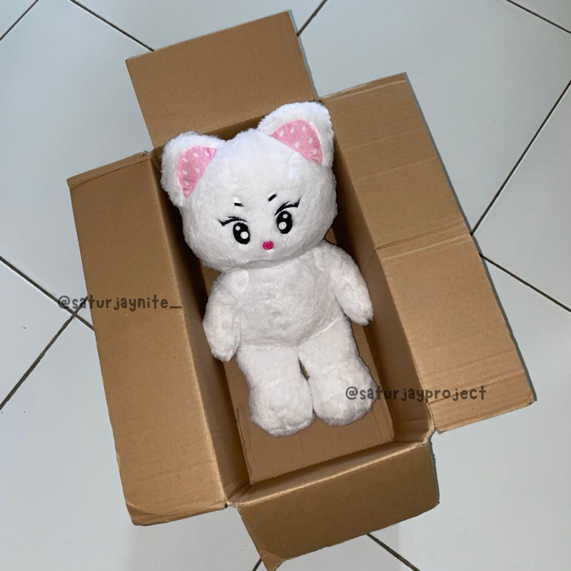 jungberry jungwon doll (baca deskripsi)