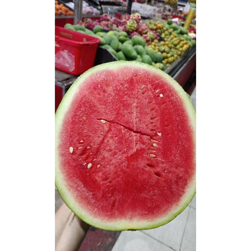 

Semangka Merah (1/4 bagian, 1/2 bagian, 1 buah utuh) - Toko Buah Darto Jaya