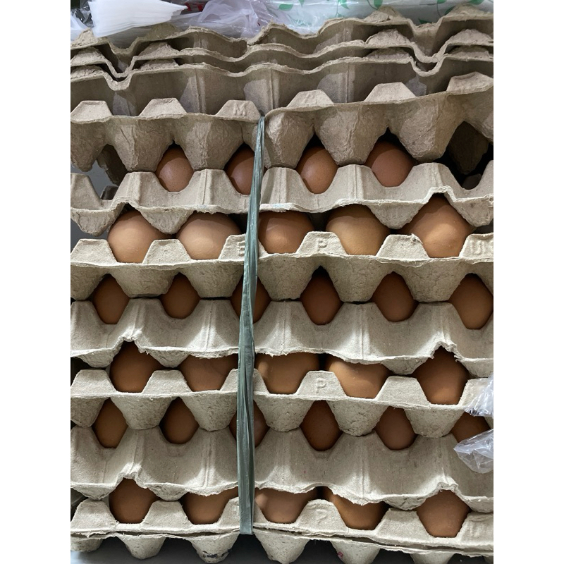 

Telur ayam negeri 1kg