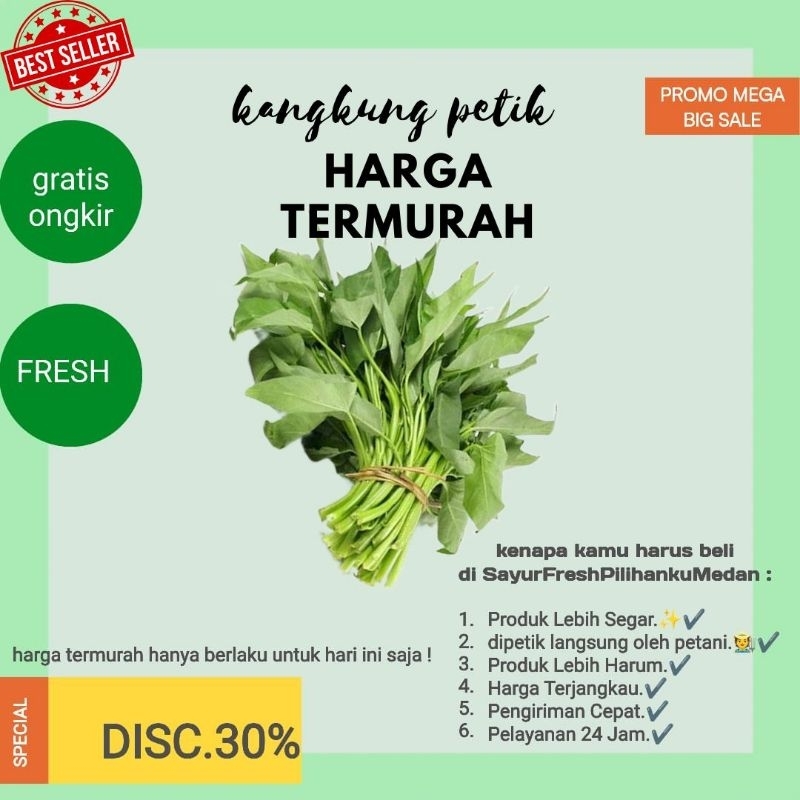 

promo sayur kangkung petik Brastagi termurah asli Brastagi| sayur segar Medan siap kirim gratis ongkir