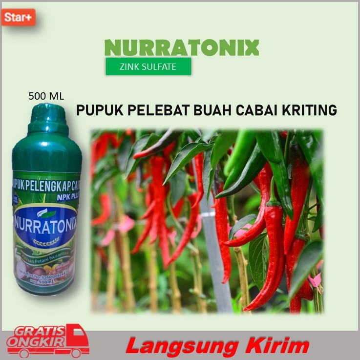 Pupuk Pelebat Buah Cabe Keriting PUPUK PELENGKAP CAIR PLUS ANTI JAMUR ZPT + GA7 NURRATONIX 500ML