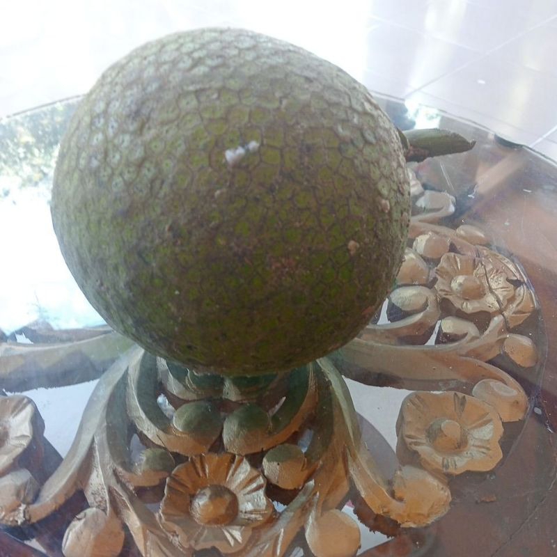 

buah sukun