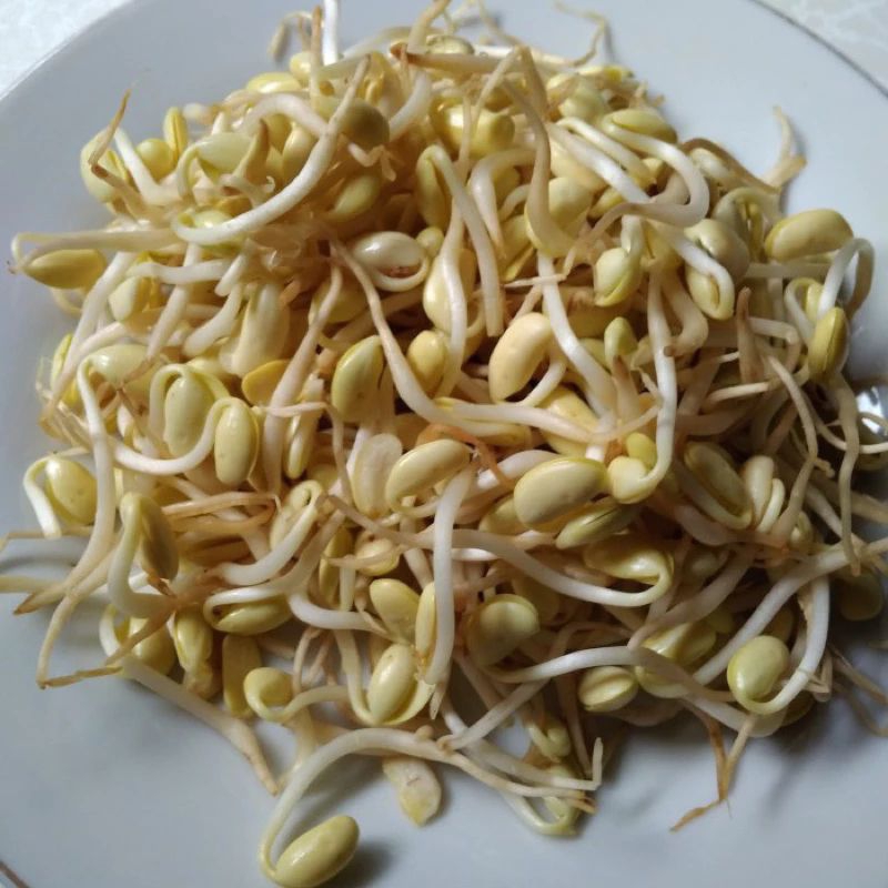 

KECAMBAH KEDELAI SEGAR 250 gram