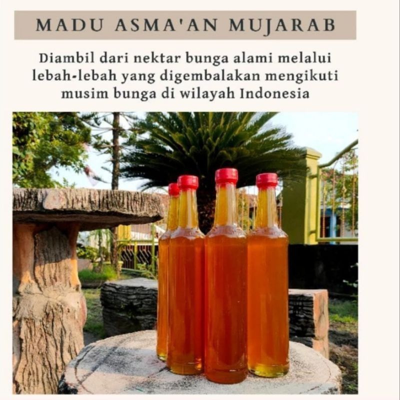 

Madu asma'an mujarab madu murni dari lebah Mellyfera