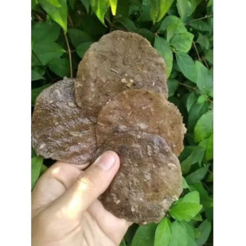 

Kemplang Mentah Asli Ogan Ilir per 100keping