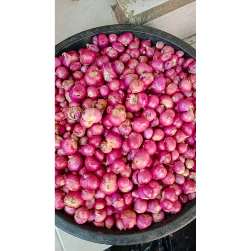 

bawang merah Nganjuk