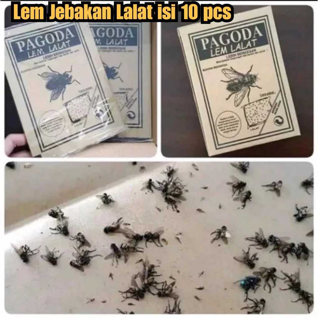 10 pcs jebakan lalat pancingan lalat penipu lalat jeratan lalat lem lalat perangkap lalat isi