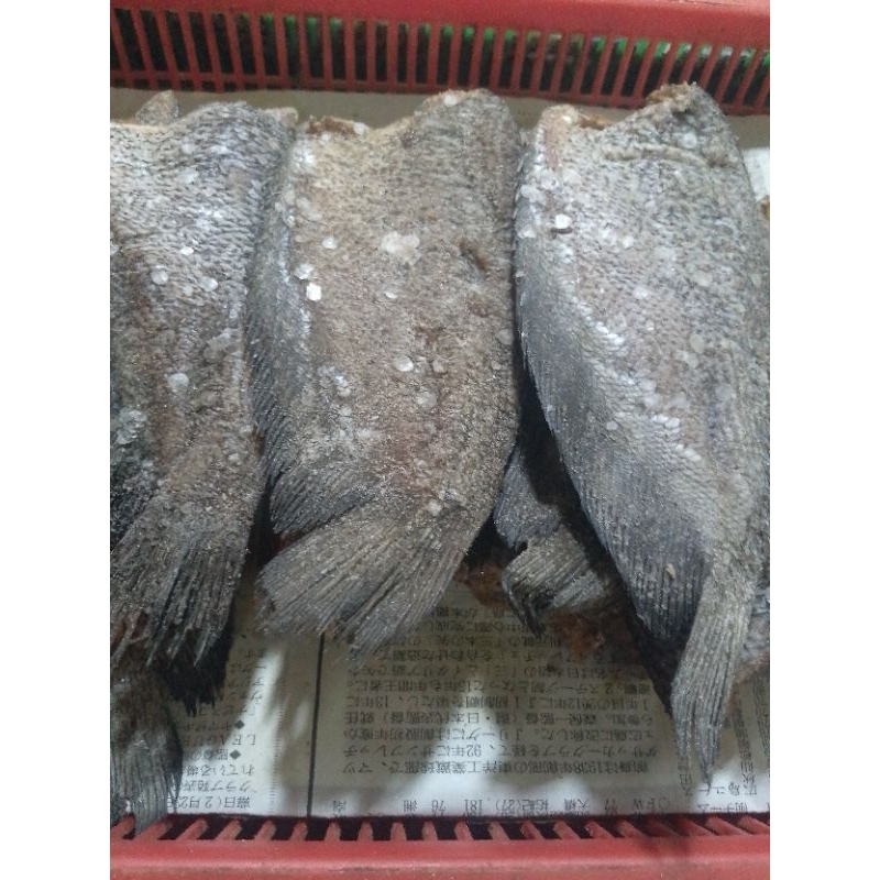 

Ikan sepat siam gede asin