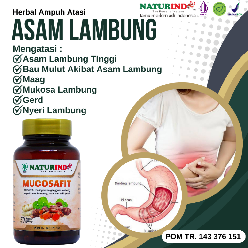 obat asam lambung kronis herbal ampuh obat asam lambung paling ampuh obat asam lambung herbal
