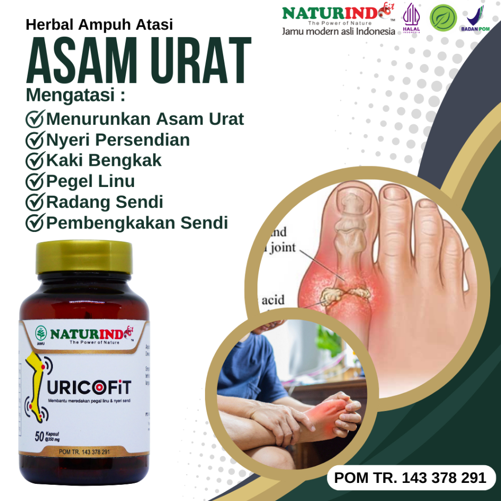 obat asam urat paling ampuh obat asam urat dan kolesterol nyeri sendi obat asam urat herbal