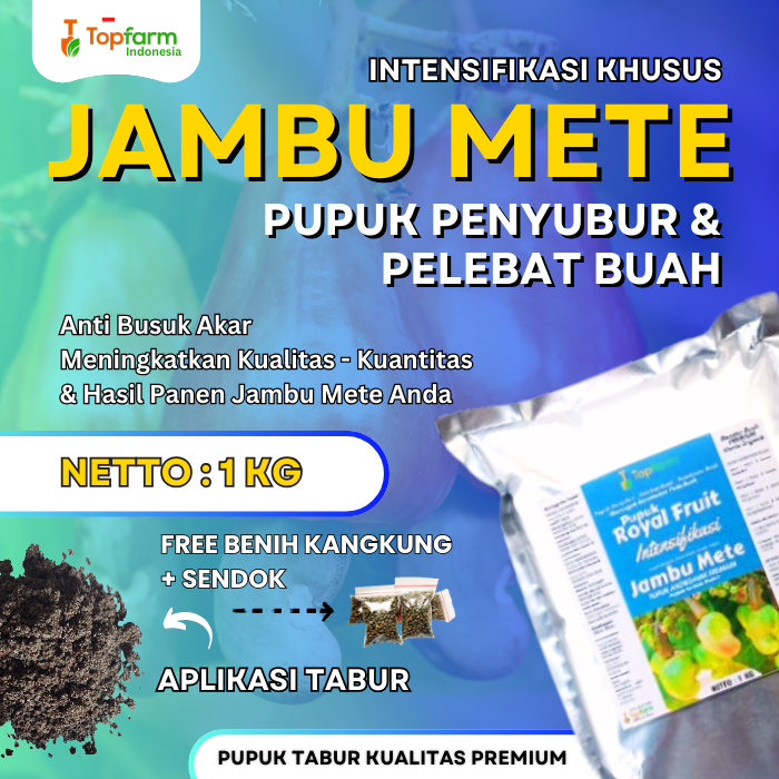Pupuk Buah Jambu Mete Terbaik / Pupuk Tanaman Buah Jambu Mete / Pupuk Jambu Mete Cepat Berbuah Lebat