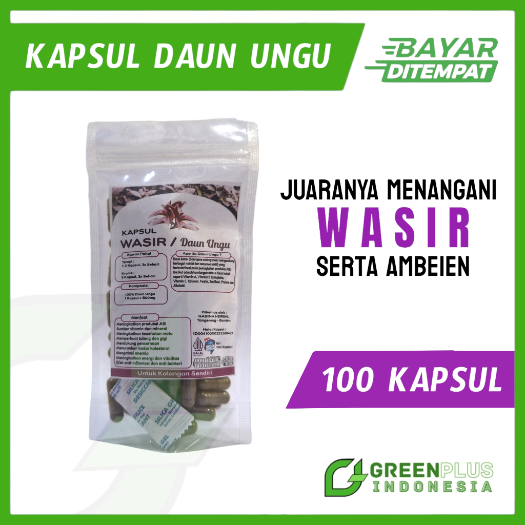 Kapsul Daun Ungu Untuk Ambeien Kapsul Daun Ungu Gabina Obat Wasir/Ambeien AMPUH