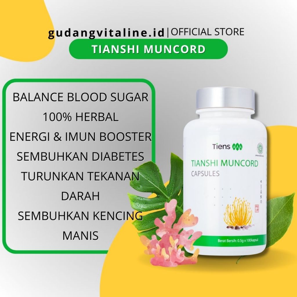 MUNCORD TIANSHI ORIGINAL TIENS - OBATI DAN SEMBUH TOTAL KENCING MANIS DIABETES MELITUS GULA DARAH MA