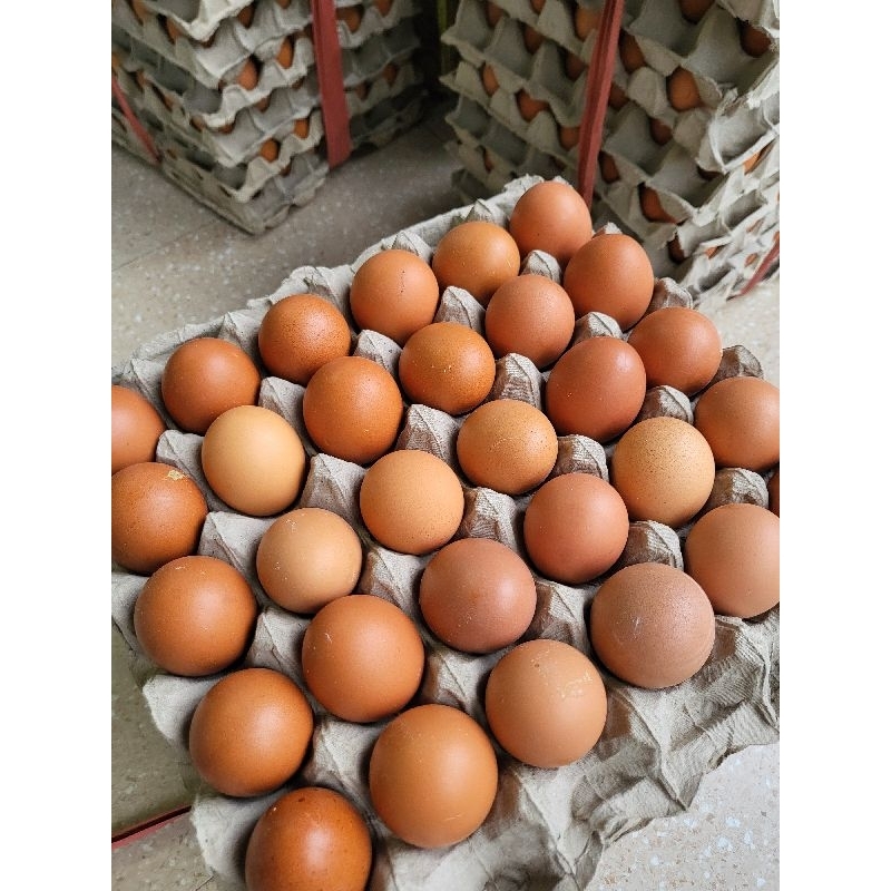

Telur Ayam Negri per Kg
