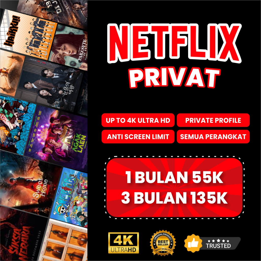 NETFLIX PREMIUM UHD PRIVATE