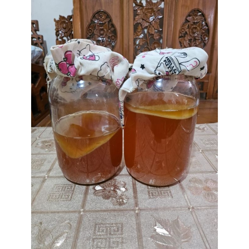 

SCOBY + STARTER KOMBUCHA 300ML