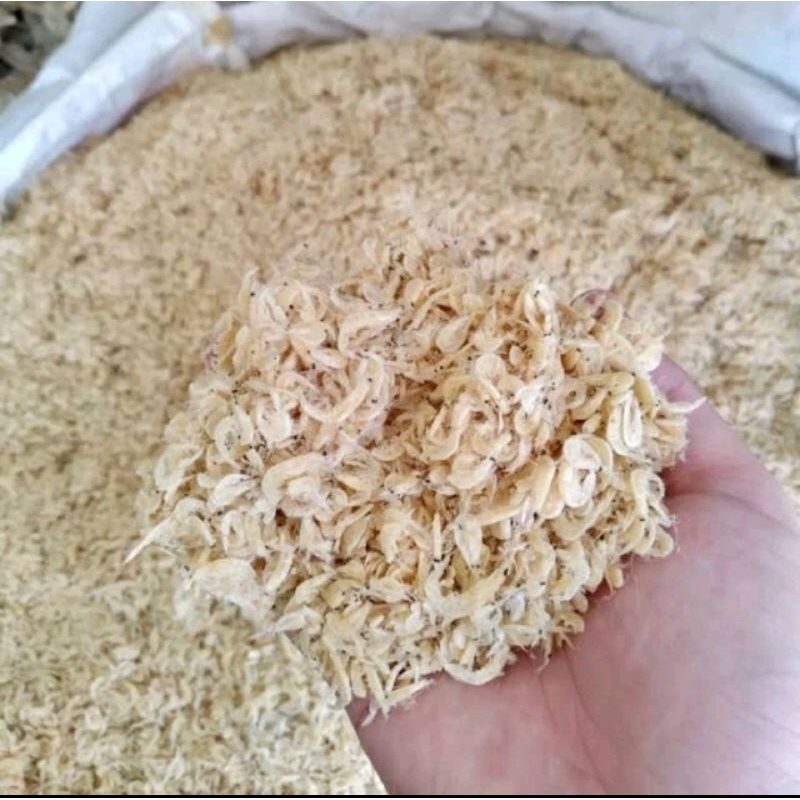 

Udang Rebon Asin Kemasan 1 Kg