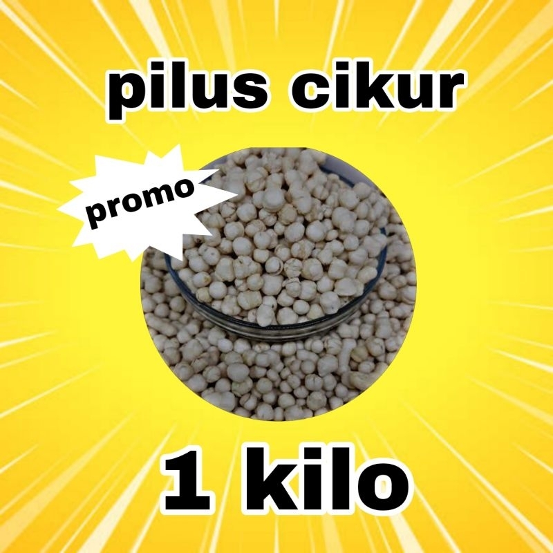 

pilus cikur (toping seblak)