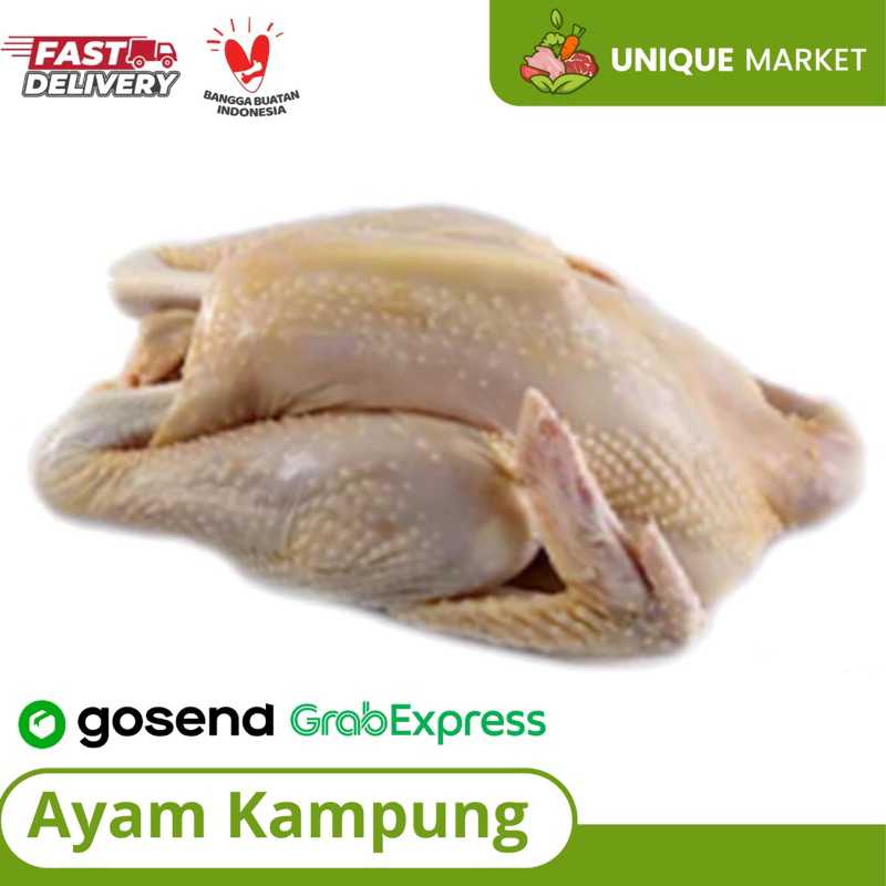 

Ayam Kampung Utuh (Potong 10)