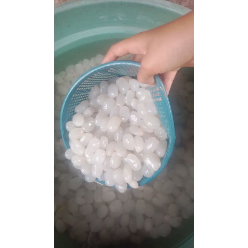 

Kolang-kaling