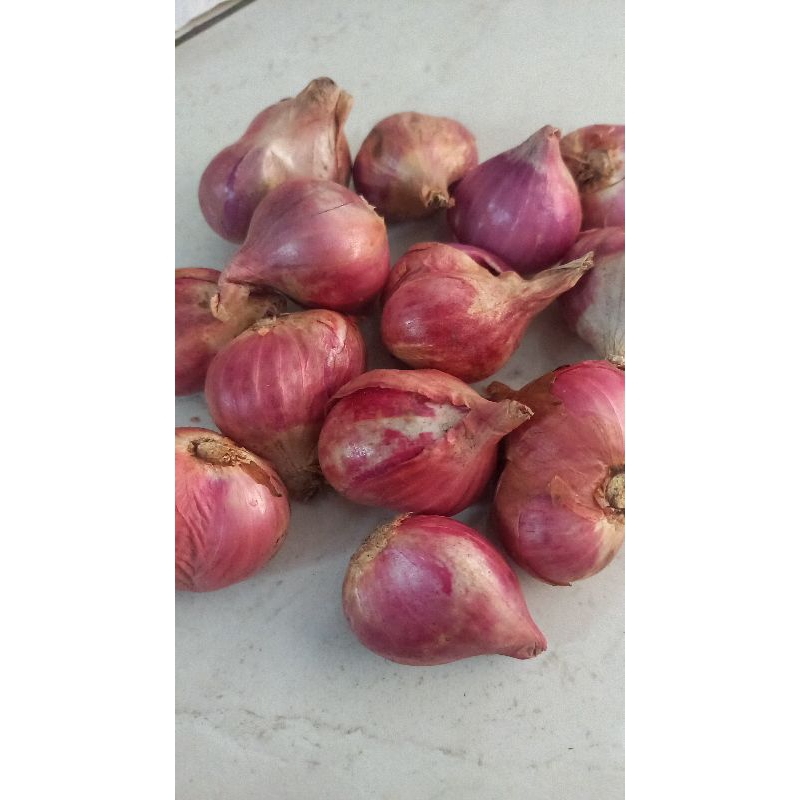 

BAWANG MERAH KUALITAS SUPER SUDAH SORTIRAN