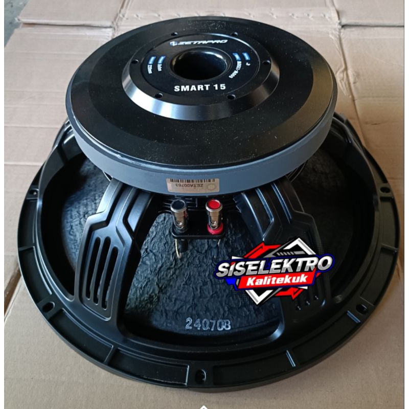 Speaker 15 Inch Zetapro Smart 15