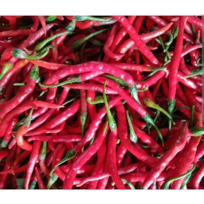 

CABE MERAH KRITING 1 ONS,¼ KG,½ KG,