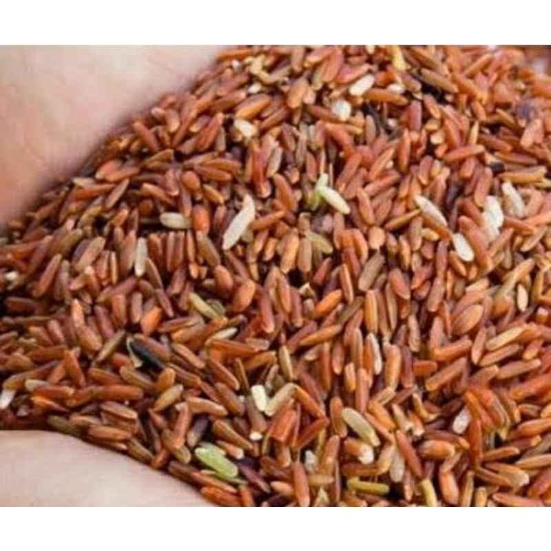 Beras Merah Pakan Ayam Burung